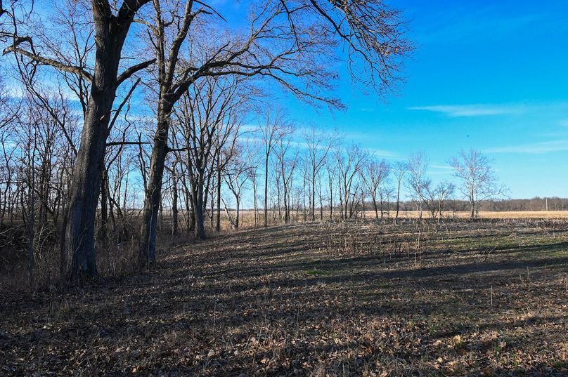 vandalia 450 (2)-2203