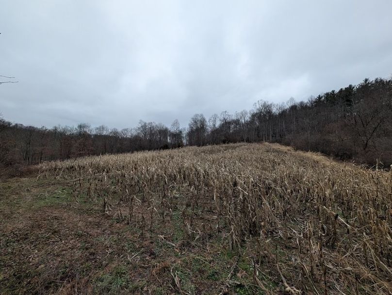 PXL_20260107_204405460