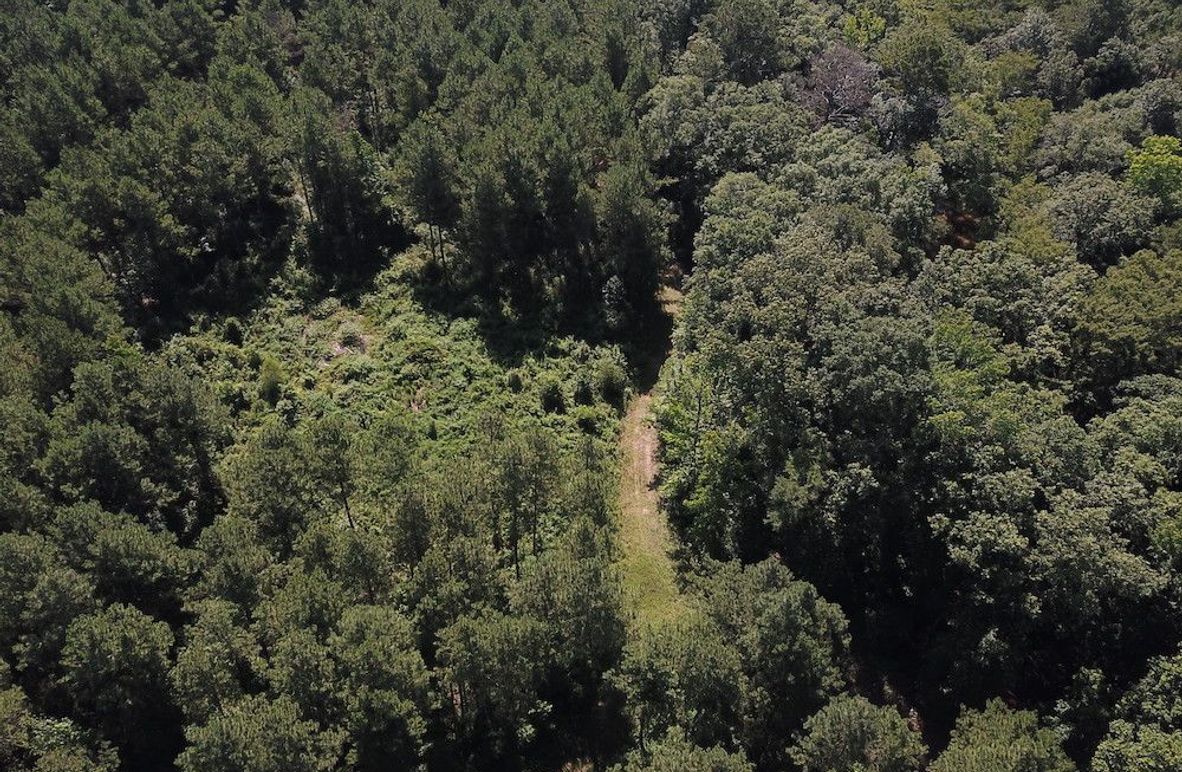 DJI_0003
