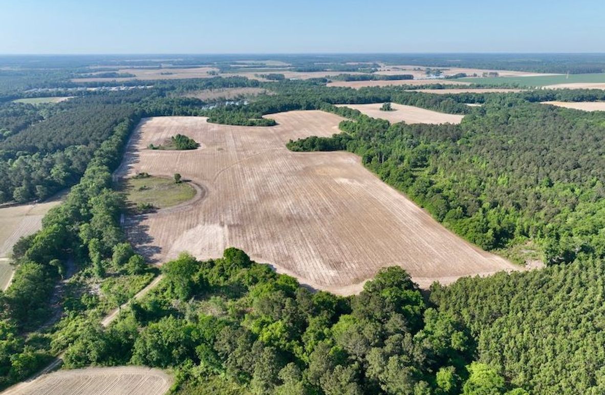 dji_fly_20260424_093808_543_1777039459864_photo