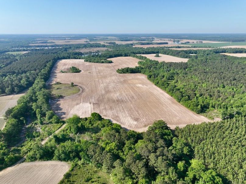 dji_fly_20260424_093808_543_1777039459864_photo