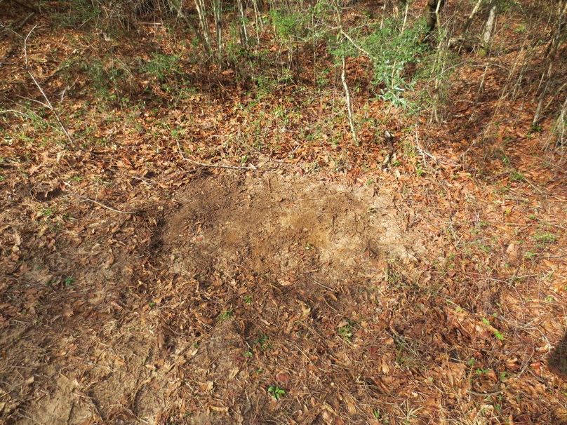 F7B5DD2B-DB69-4B0E-AF13-94DEB84A6EC2_1_105_c