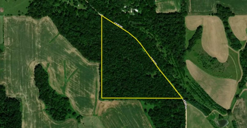 Screenshot 2026-04-01 at 9.36.28 PM