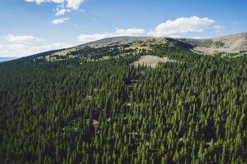 Lake CO 41.32 Nolan - 016 Prospect Mountain View