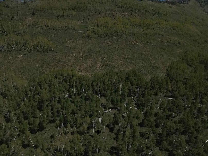 Copy of Photo_1080295617_DJI_193_jpg_4906529_0_202261412536_photo_original.jpg