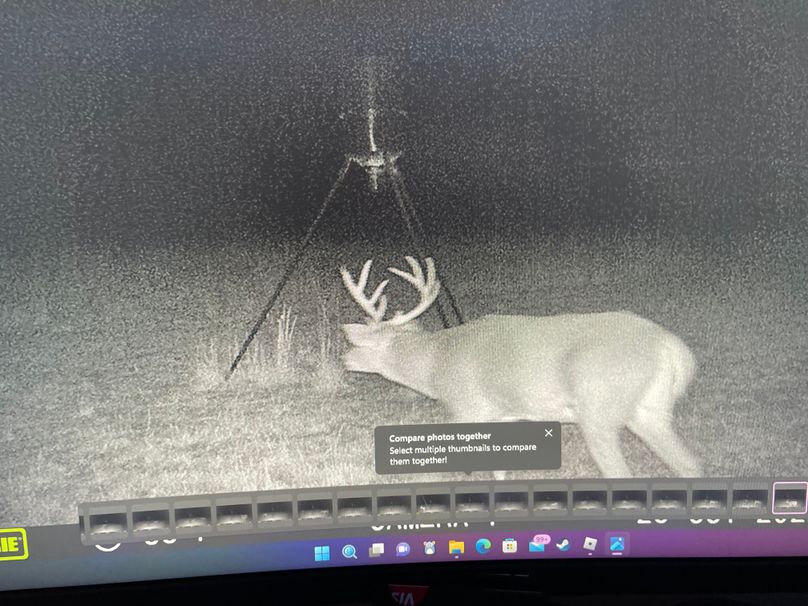 69007246193__24383979-784D-41A5-8D92-4BC93D02E226