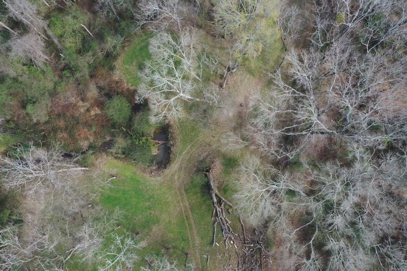 DJI_0166