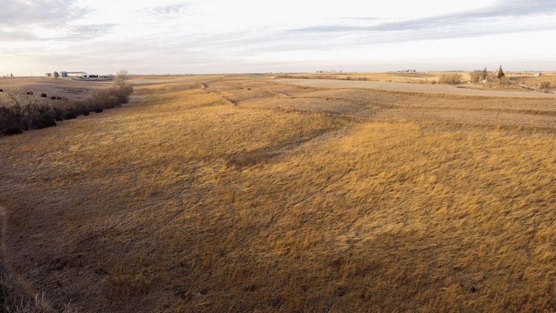 MONTGOMERY CO IA 156.78_16