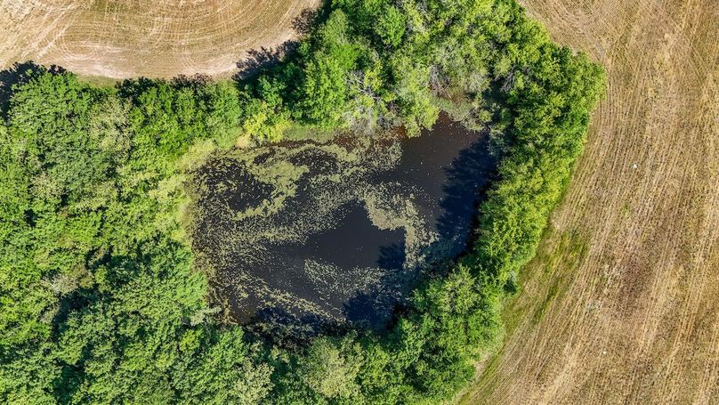 DJI_20250519091002_0019_D