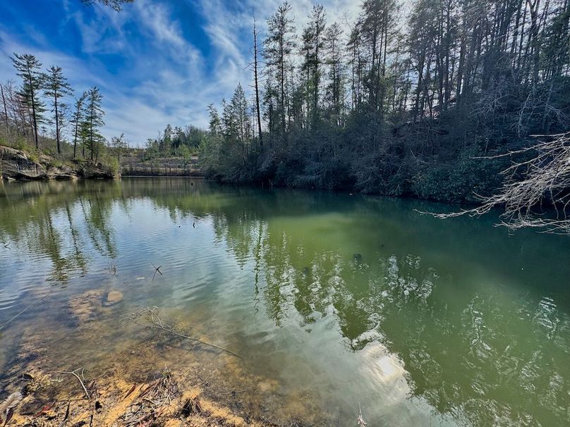 002 view from the Wolfe Lake access point