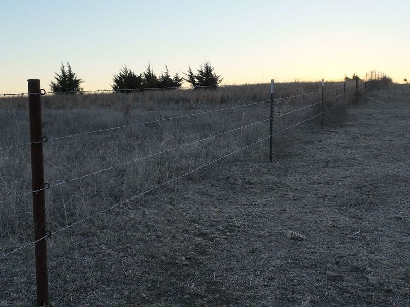 dji_fly_20240404_072606_887_1712233861354_photo