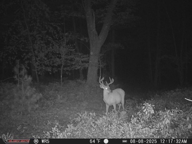 AF93C3C6-D11C-4D43-B7F7-350CE4541859_4_5005_c