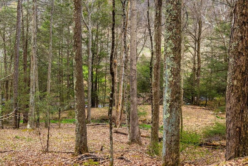 51-web-or-mls-IMG-51