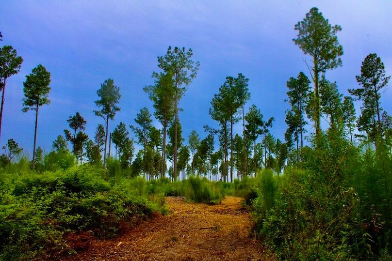 2C4CE2A6-D492-4D07-B91A-E72AF32663AA_1_105_c