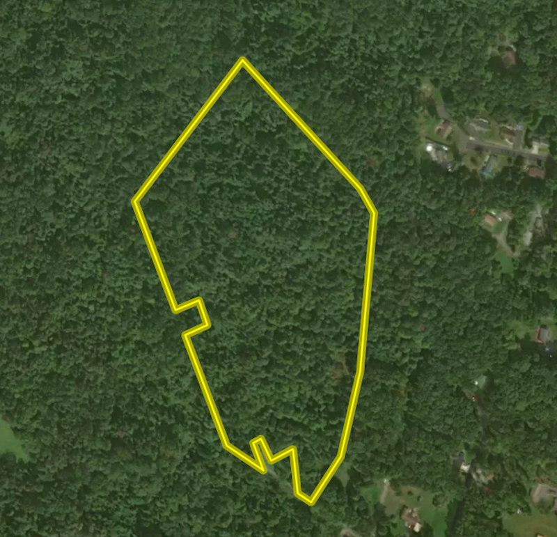 Screenshot 2024-09-13 at 2.09.27 PM