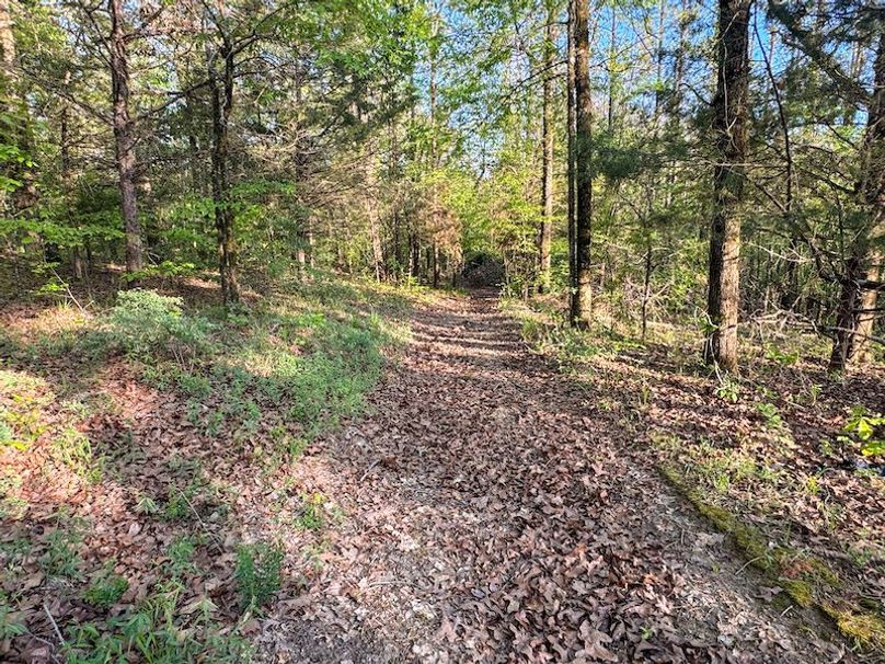 Tallahatchie 44 Newman (Crowden) Wide-40