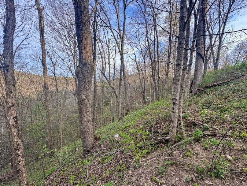 Screenshot 2026-04-21 at 11.35.40 AM