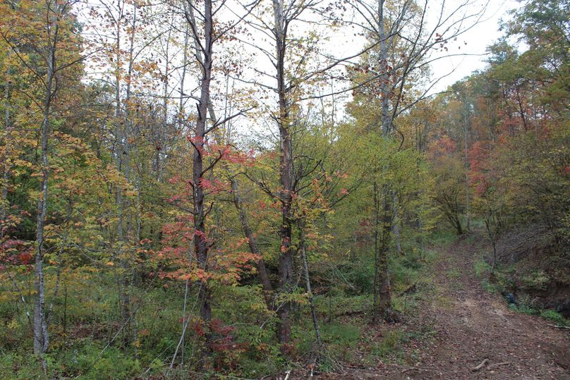 027 trail leading to the south from the gravel landing