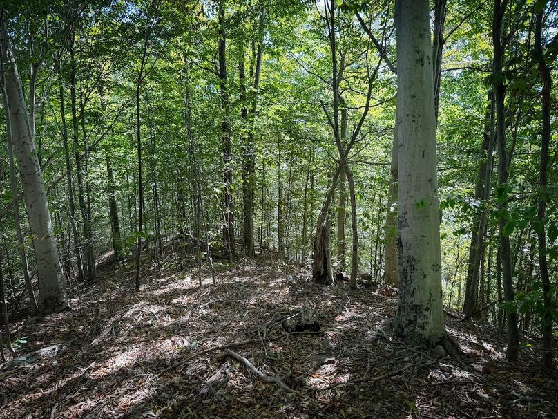 Oswego NY 18.18 Martin Photos 40