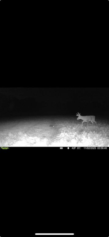 Screenshot 2026-01-06 at 4.34.04 PM