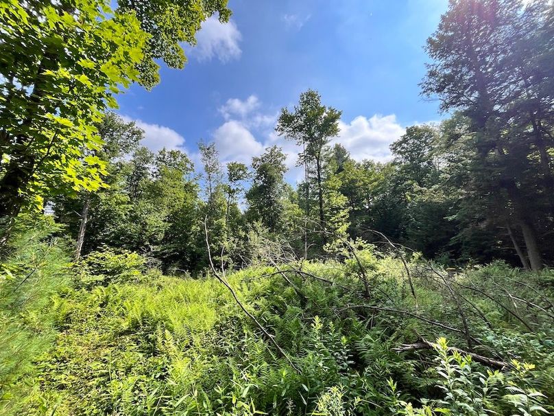 Oswego_133.72_Middleton_Photos_26