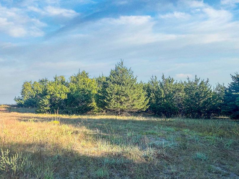 Lamar County- 93 acre reshoot (36 of 38)