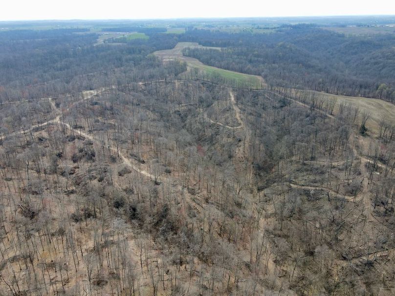 dji_fly_20240329_125508_566_1711731330356_photo