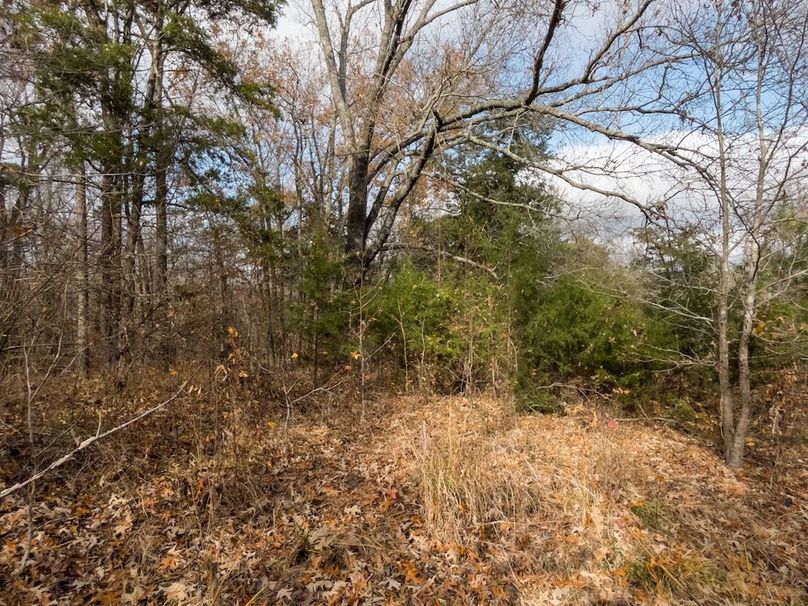 Yazoo Co - 75 - Batton-23