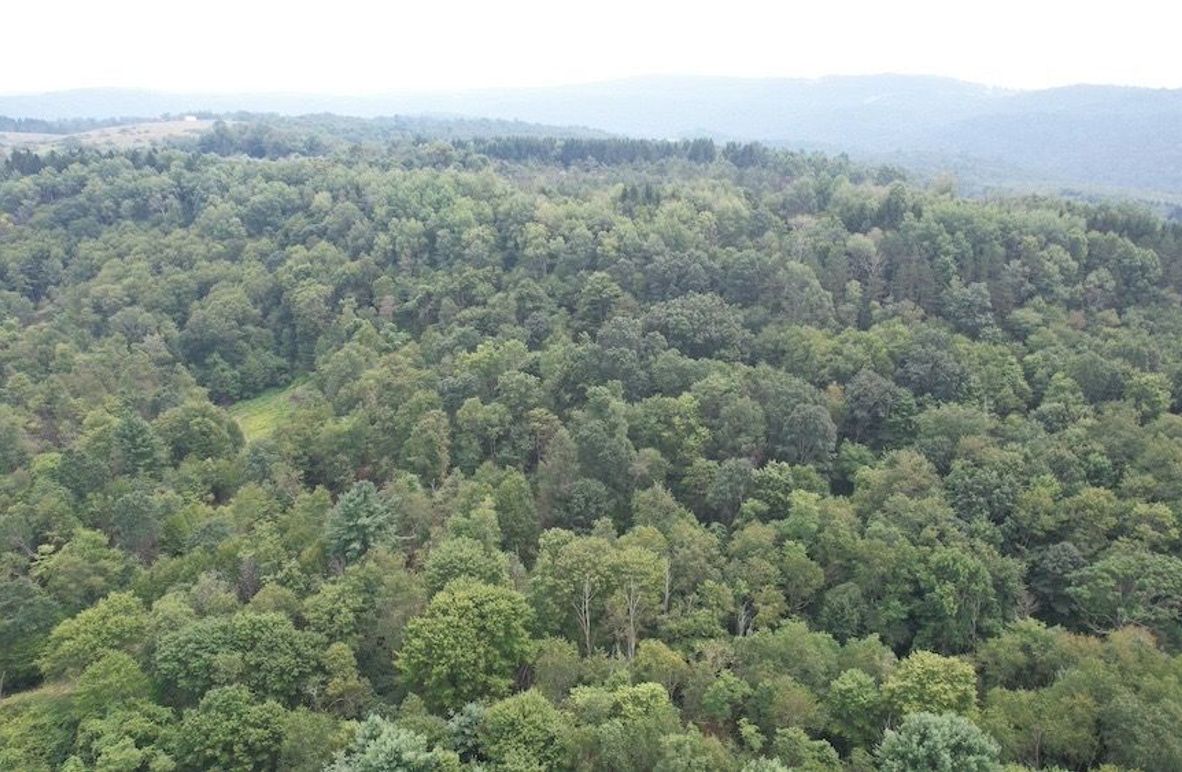 dji_fly_20250806_140622_572_1754530405124_photo