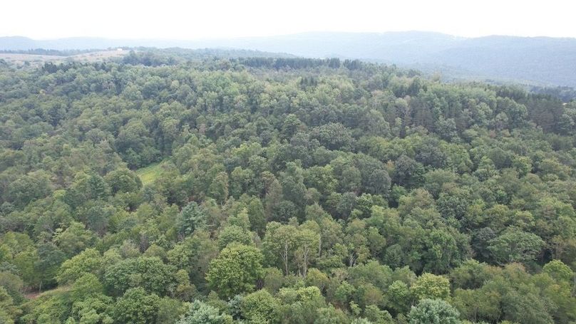 dji_fly_20250806_140622_572_1754530405124_photo