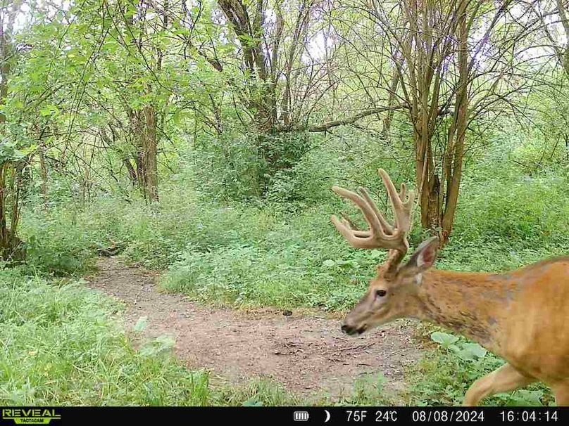 860322062166886-100-3-08082024160414-V-W1001731