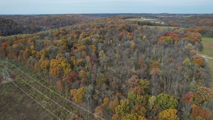 dji_fly_20251105_123326_909_1762380917292_photo