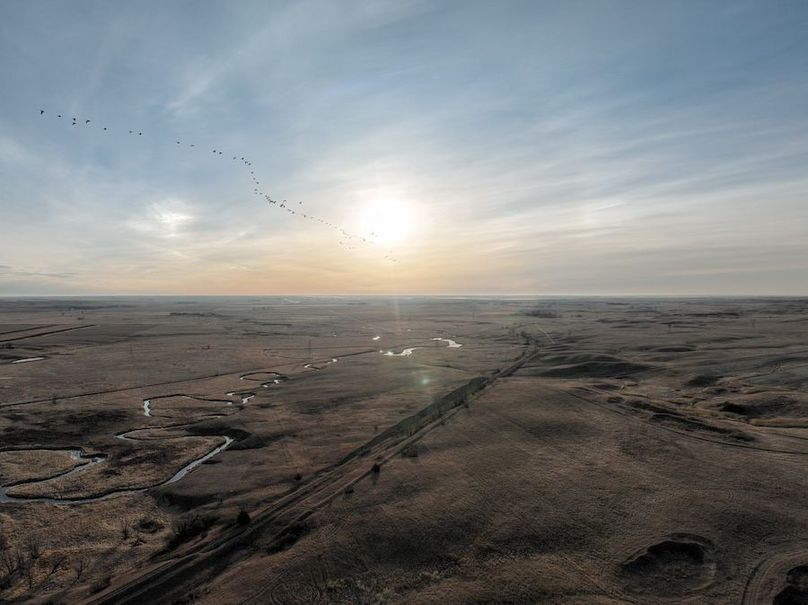 DJI_0292_Tract_1_Geese