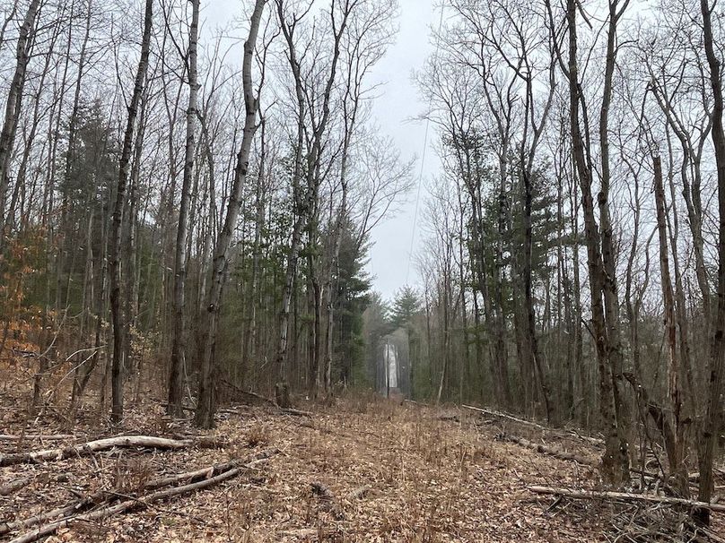 Chemung_17.45_Delsey Photo 23
