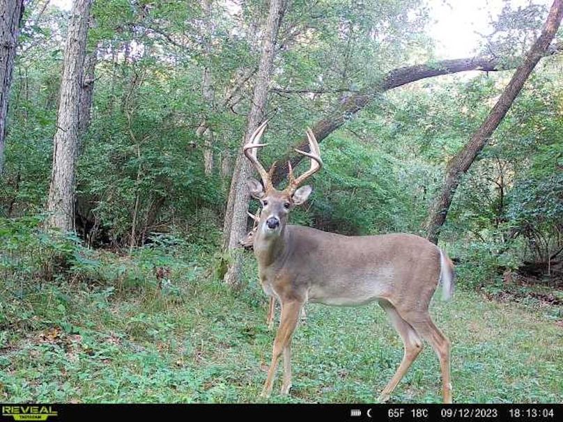 241b64ad-ec3b-4252-93df-02989fd2522b