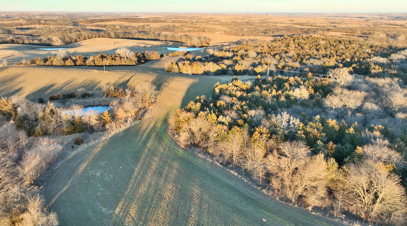 Screenshot 2026-01-06 at 8.15.00 PM