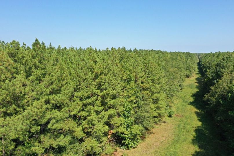 8B1B71B6-E040-429E-9CE9-F770D9108E20_1_105_c