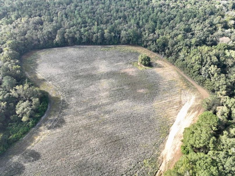 dji_fly_20251007_100800_221_1759846415958_photo