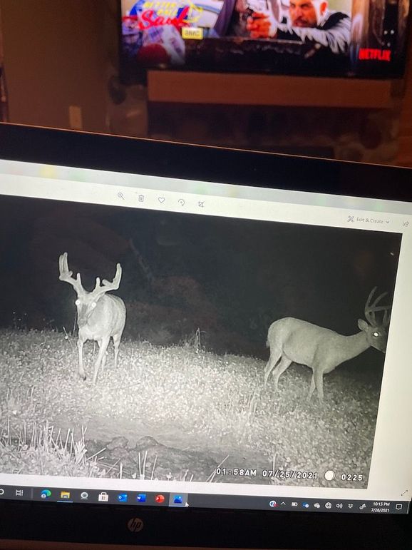 64922133601__83F07476-54EF-45BE-97D5-EA863A0C5D6C