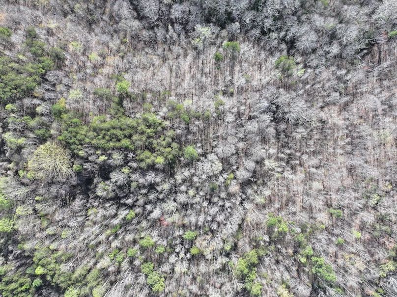 dji_fly_20260330_094744_0734_1774966009917_photo