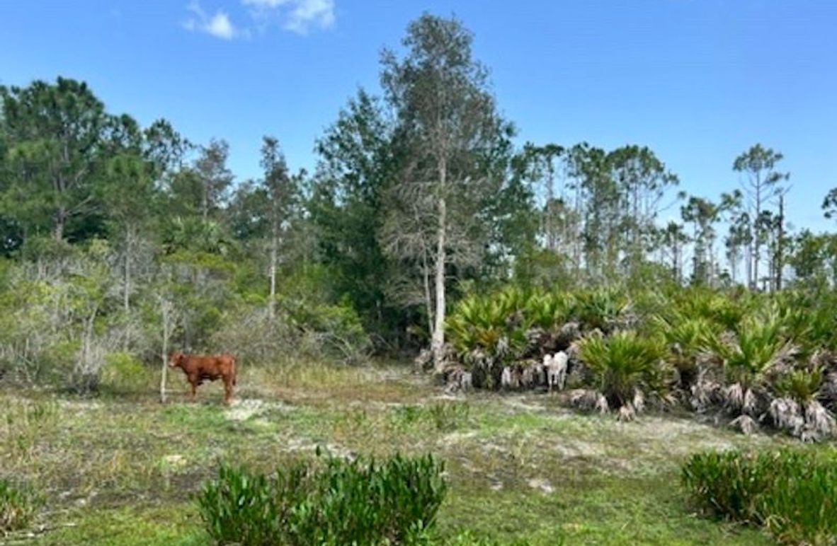 4E742465-5B44-4101-AFE2-C584F1AD95D1_4_5005_c