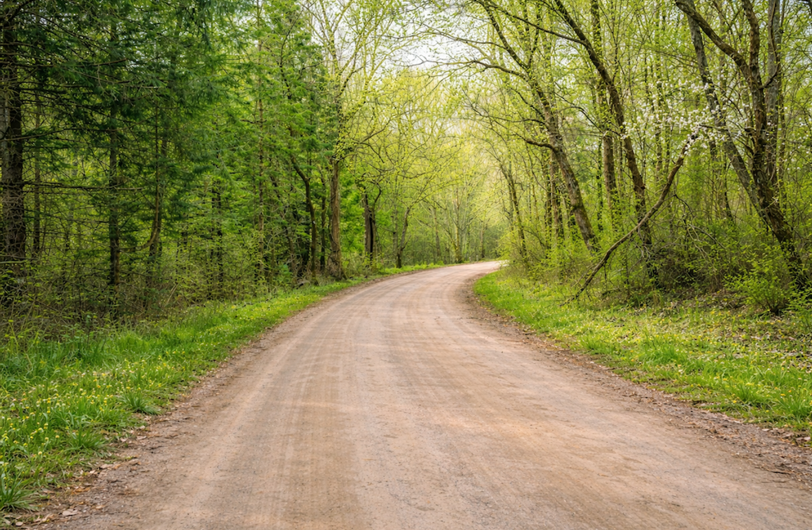 ChatGPT Image Mar 31, 2026, 04_12_12 PM