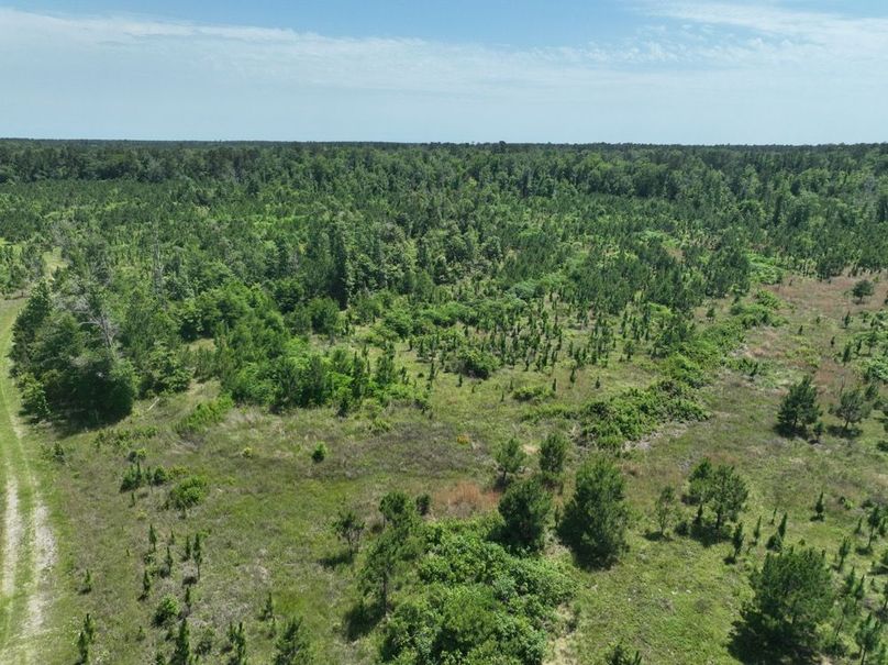 dji_fly_20250522_161224_222_1747959475420_photo