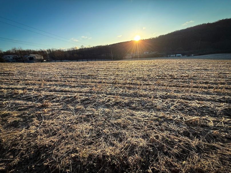 Cayuga 32 Stoyell Photos 49