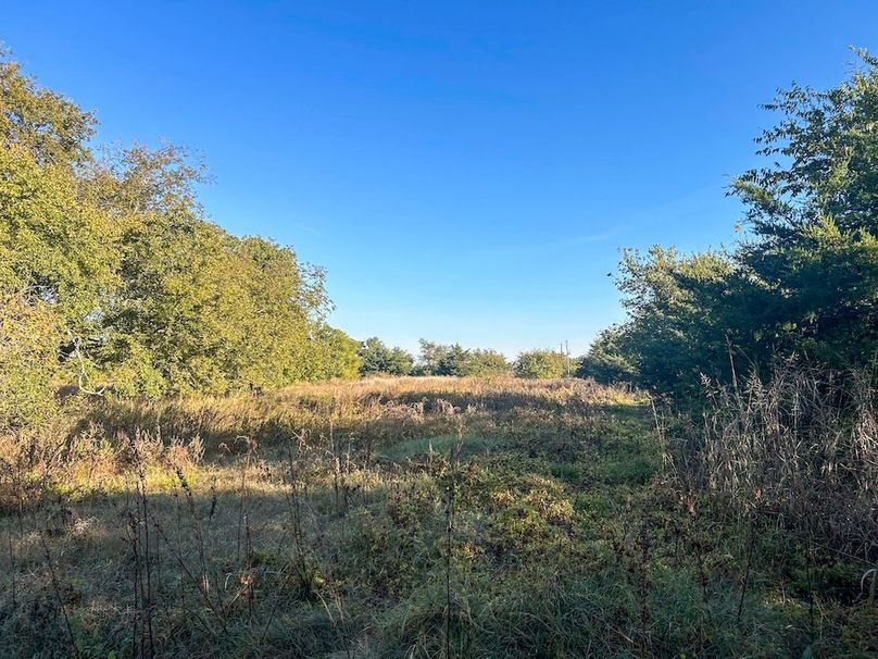 Hunt County- 44.51 acres (26 of 29)