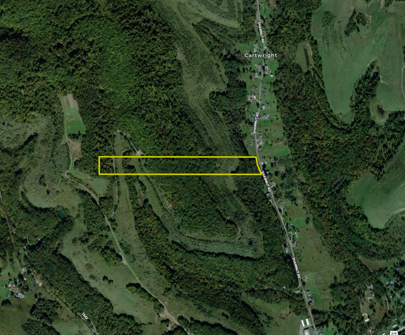 Screen Shot 2023-04-04 at 9.00.39 PM