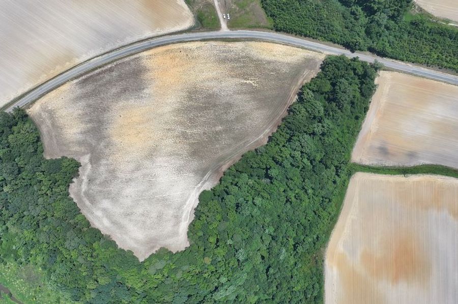 DJI_20240625105209_0204_D