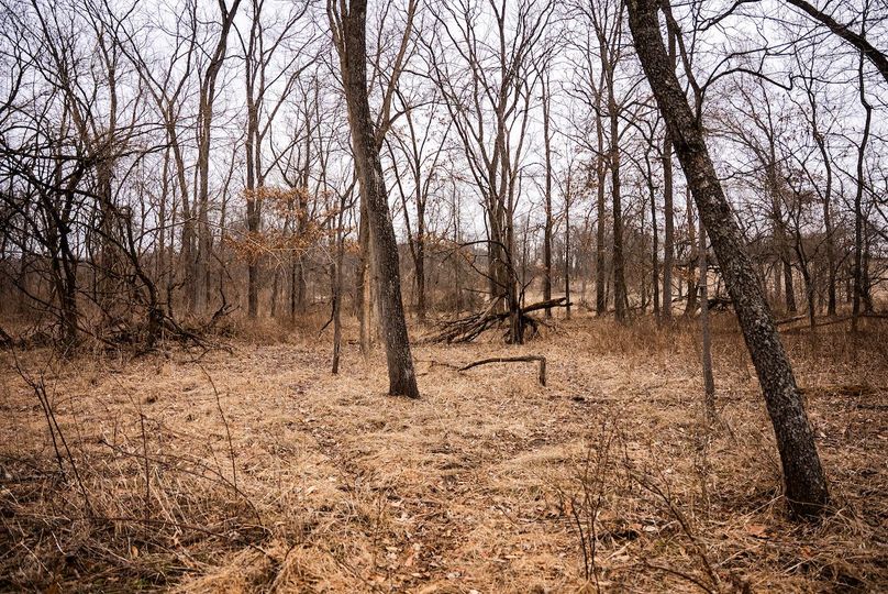 Pike IL 96.87 Adv Pro Photo-32