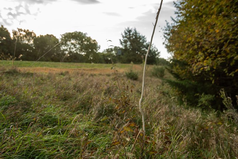 FREMONT CO. IA 158.32_51