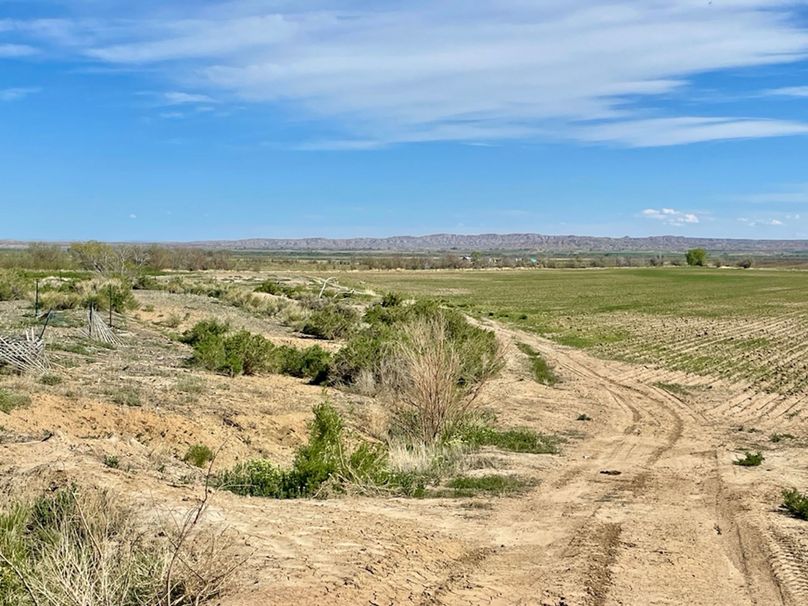 3039F251-34C2-400A-A0F0-F0E74A77CFFA_1_105_c